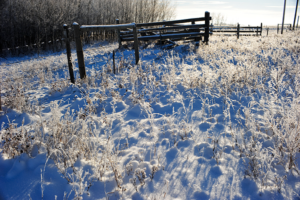 Frost everywhere