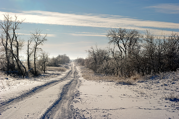 Frost everywhere